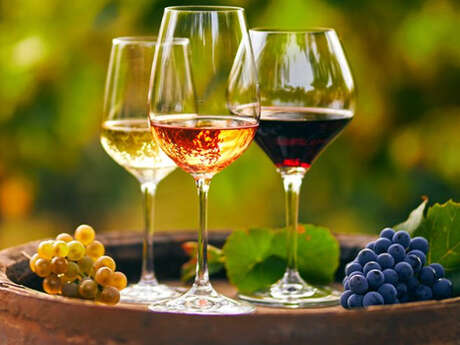 Atelier : Dans les Coulisses du Vin - Secrets de vinification