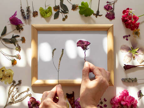 Atelier créatif : Cadre mural végétal