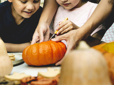 Atelier famille : Cucurbitacées et compagnie
