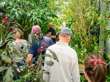 Visite en soirée des serres des Jardins Suspendus
