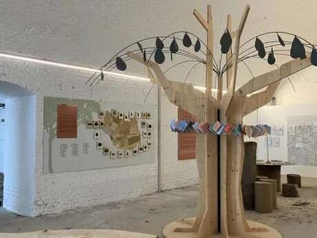 Visite thématique : La Maison de l'arbre