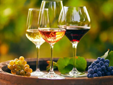 Atelier : À la découverte des vins du Languedoc