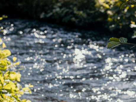 Sortie nature :  Contes au fil de l'eau