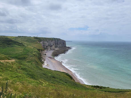 Sortie nature : Connexion au vivant au son du tambour