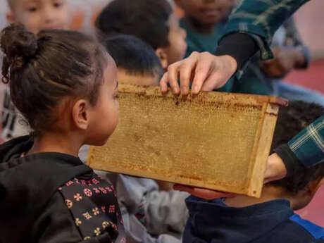 Atelier : Les secrets des abeilles