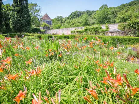 Sortie nature : Les quatre saisons du Parc de Rouelles