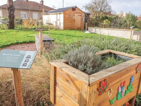 Sortie nature : De la vie dans le jardin - Participez à la vie du jardin de la maison Dahlia