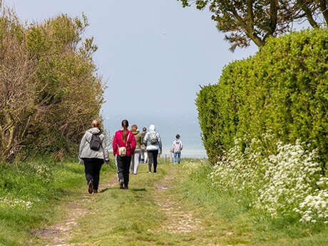 Rallye des familles : Nature, chaussures et méninges