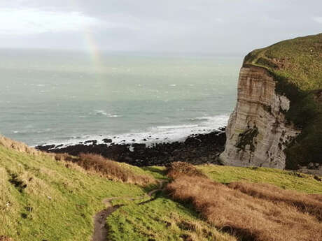 Rando-patrimoine : La valleuse d'Antifer
