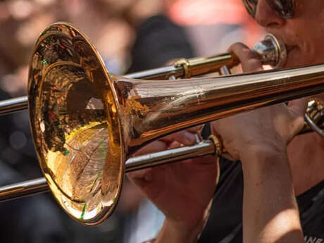 Concert d'ouverture : Anima (Ex) Musica