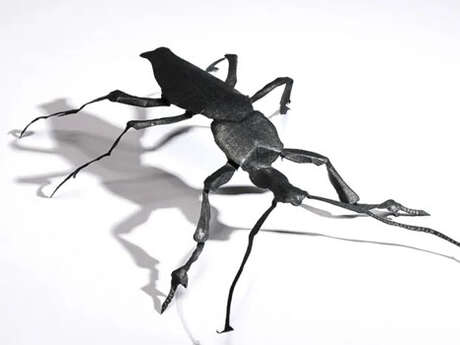 Atelier : Insectes en papier