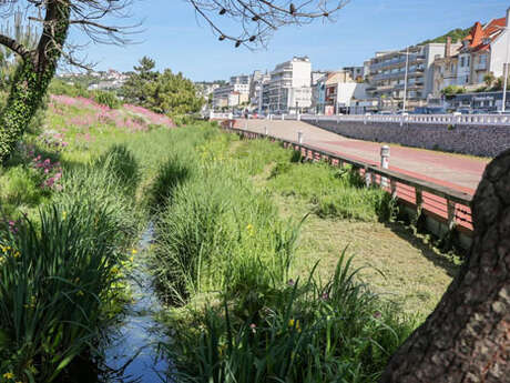 Visite guidée : Direction la plage !