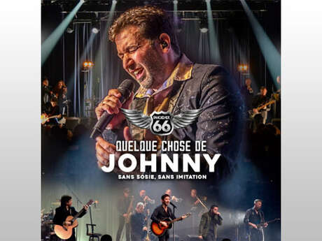 Musique : Quelque chose de Johnny - Phoenix 66