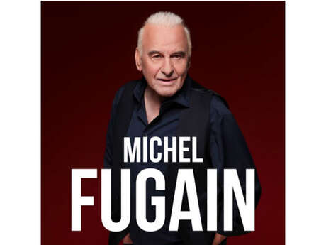 Musique : Michel Fugain, C'est l'histoire d'une belle histoire