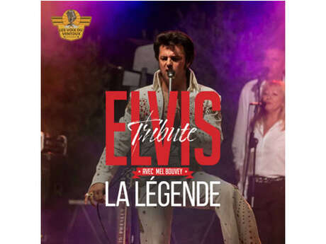 Musique : Elvis La Légende
