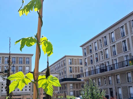 Rencontre : Genius Bike Tour