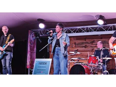 Concert : The Seeds