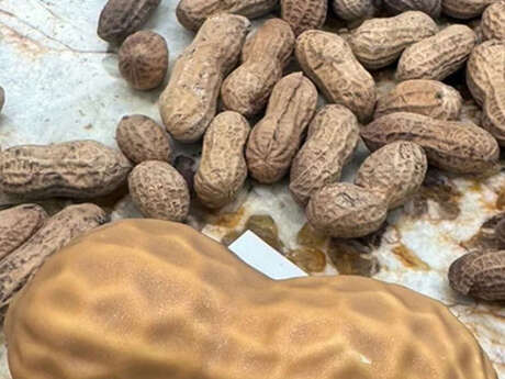Mini-stage : Cacahuète XL