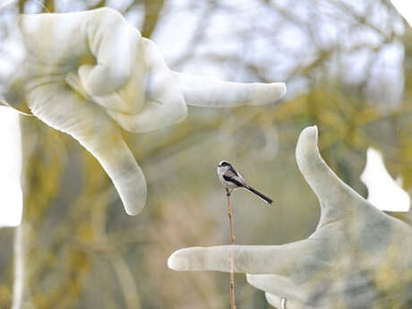 Exposition : 365 jours – Photographies de Sébastien Boullier