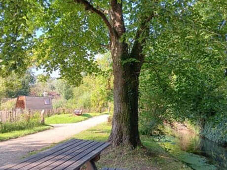 Visite guidée : L'histoire des jardins au gré des époques