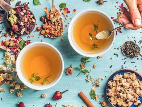 Atelier : plantes médicinales & création de tisane
