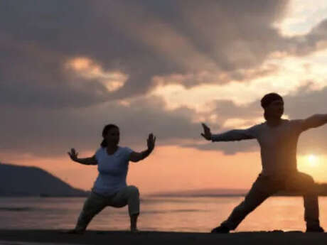 Atelier : Tai chi, Qi Gong & méditation vibratoire