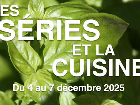 Rencontres Havre Séries - 10ème édition