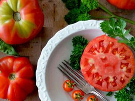Atelier : La tomate dans tous ses états