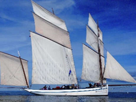 Les Grandes Voiles Du Havre : Sortie 2 heures à bord de La Granvillaise - Un voilier traditionnel normand
