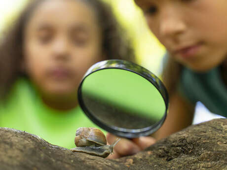 Propos de jardinier : À la découverte de la faune du jardin