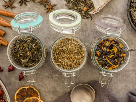 Propos de jardinier : Les plantes médicinales