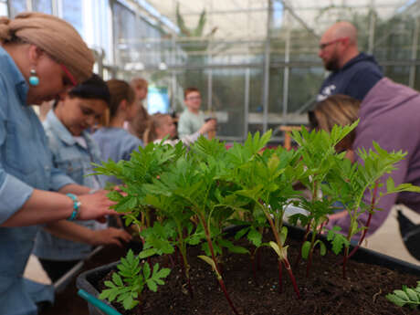 Atelier participatif : Le fleurissement mécanisé