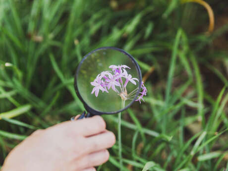 Propos de jardinier : La botanique pour les nuls