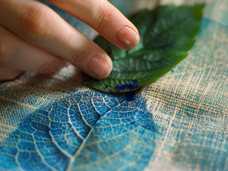 Atelier famille : Cyanotype pour enfants