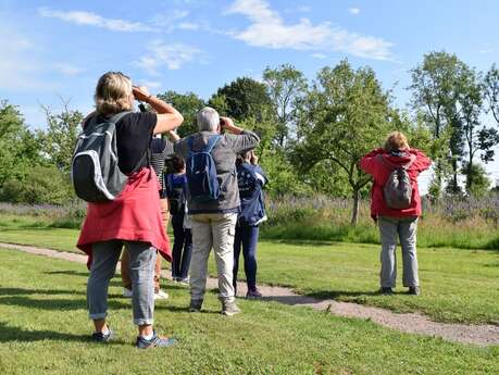 Balade à plume, randonnée au cœur du monde des oiseaux