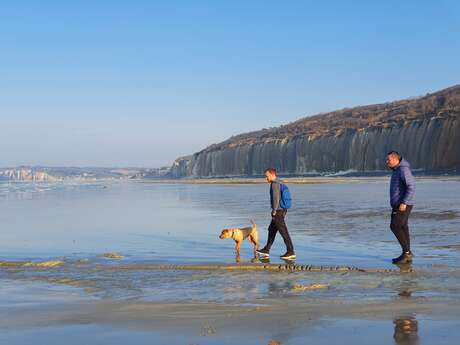 Week-end au poil en Normandie