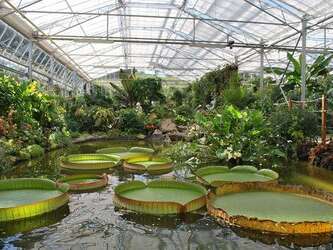 Visite guidée : Les serres des Jardins Suspendus