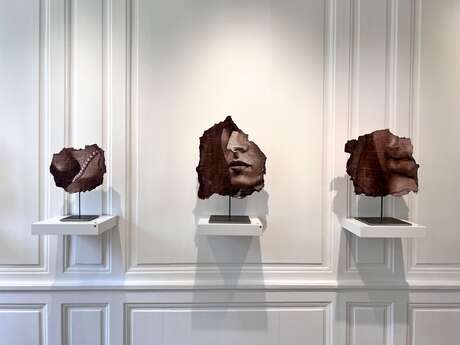 Exposition Artéfact (Chapitre 1)