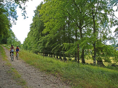 Bas de Bacqueville à VTT
