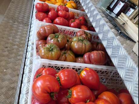 Mercredi savoir-faire : Visite de la ferme maraîchère le Clos Masure du P'tit Caux