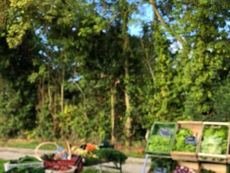 Exposition : au jardin potager