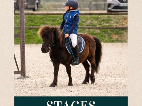 Stage d'équitation