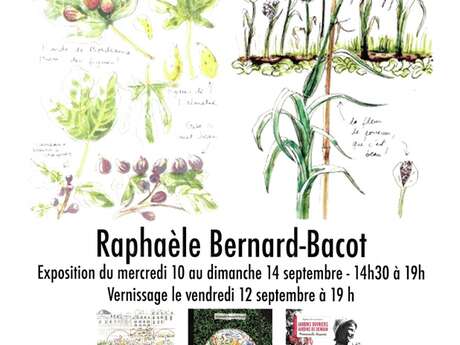 Exposition de Raphaêlle Bernard-Bacot