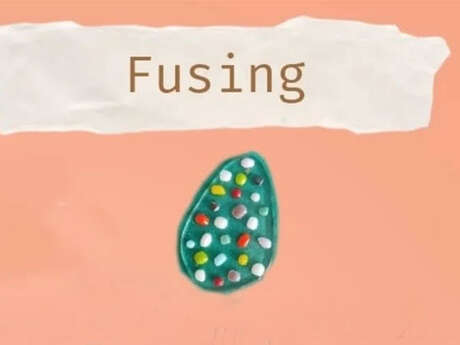 Atelier créatif : Fusing