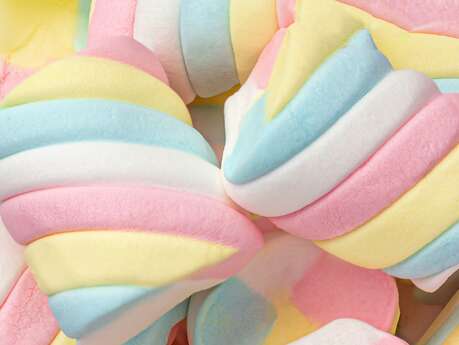 Atelier confiserie