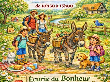 Balade avec les ânes