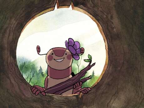 Des dessins animés au Shed !