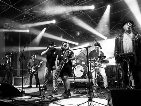 Concert – The Ska Flakes Concert – The Ska Flakes