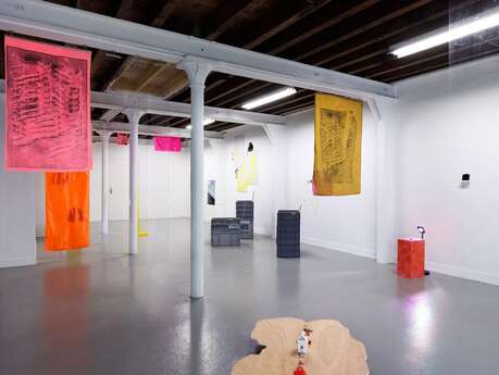 Visite de l’exposition « Supra-minéral » avec Elisa Barbier