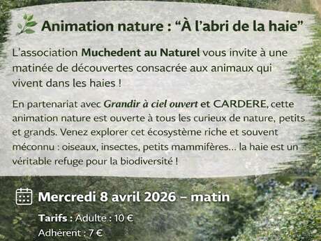 Animation nature : "A l'abri de la haie"